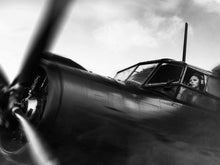 Load image into Gallery viewer, American Aviator IKONICK Original