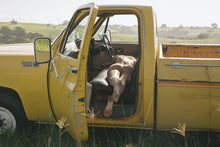 Load image into Gallery viewer, Buckle Up Troy Freyee