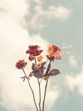 Load image into Gallery viewer, Burning Love Mario Stefanelli