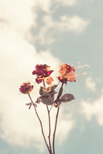 Load image into Gallery viewer, Burning Love Mario Stefanelli