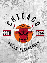 Load image into Gallery viewer, Chicago Bulls Badge NBA Teams