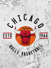 Load image into Gallery viewer, Chicago Bulls Badge NBA Teams
