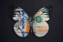 Load image into Gallery viewer, Earn Your Wings IKONICK Original