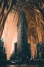 Load image into Gallery viewer, Flat Iron NY 8th Damon