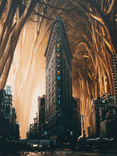 Load image into Gallery viewer, Flat Iron NY 8th Damon
