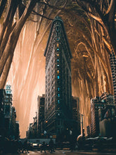 Load image into Gallery viewer, Flat Iron NY 8th Damon
