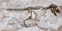Load image into Gallery viewer, Fossil Rex IKONICK Original
