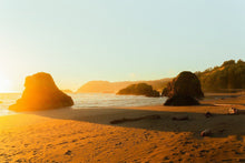 Load image into Gallery viewer, Golden Glow Alex Hinson
