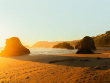 Load image into Gallery viewer, Golden Glow Alex Hinson