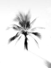 Load image into Gallery viewer, I Had To Much To Dream Last Night Mario Stefanelli