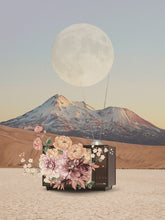 Load image into Gallery viewer, Life Finds A Way Amanda Tidstrand