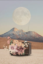 Load image into Gallery viewer, Life Finds A Way Amanda Tidstrand