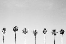 Load image into Gallery viewer, Palms Brie Lakin