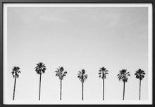 Load image into Gallery viewer, Palms Brie Lakin