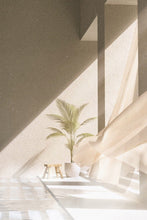 Load image into Gallery viewer, Place Du Soleil Dario Prieto