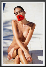 Load image into Gallery viewer, Rose Michael Malone