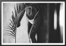 Load image into Gallery viewer, Sunrise Mario Stefanelli