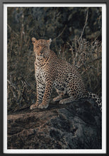 Load image into Gallery viewer, The Leader Garrett King