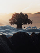 Load image into Gallery viewer, Tree Swing Truth by Nature