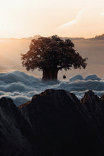 Load image into Gallery viewer, Tree Swing Truth by Nature