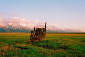 A Fence in Jackson Sol Rapson 