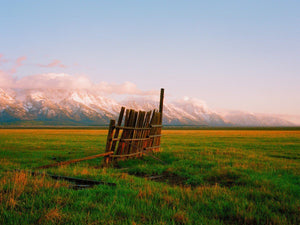 A Fence in Jackson Sol Rapson 