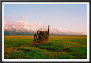 A Fence in Jackson Sol Rapson 