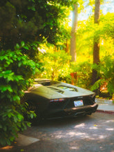 Load image into Gallery viewer, Abandoned Lamborghini Aventador Chaz Warren 