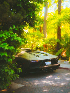 Abandoned Lamborghini Aventador Chaz Warren 