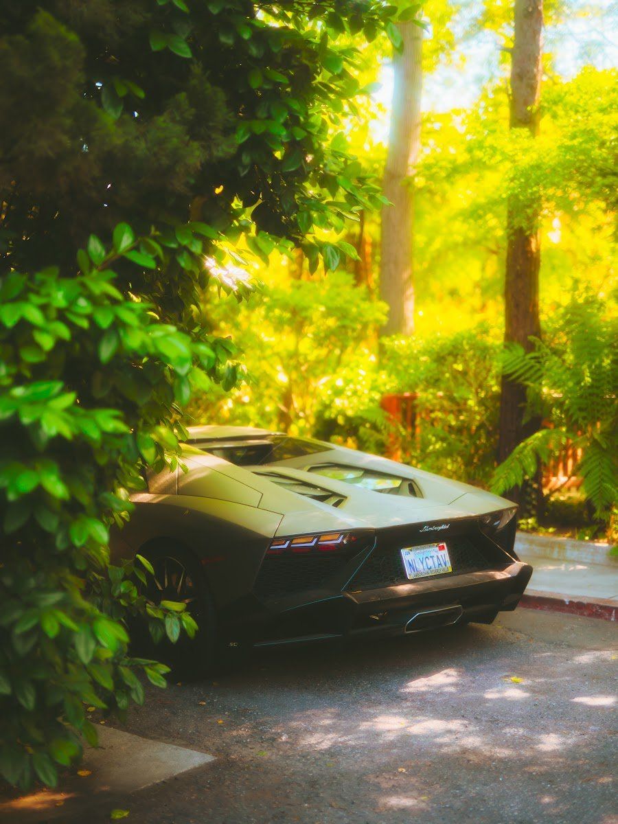 Abandoned Lamborghini Aventador Chaz Warren 