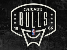 Load image into Gallery viewer, Chicago Bulls Backboard NBA Teams 