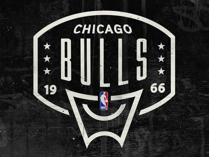 Chicago Bulls Backboard NBA Teams 