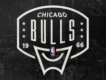 Load image into Gallery viewer, Chicago Bulls Backboard NBA Teams 