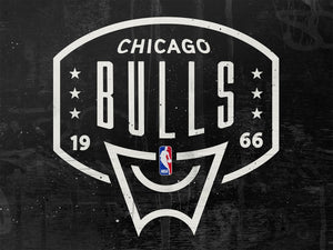 Chicago Bulls Backboard NBA Teams 