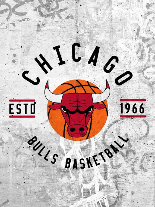 Chicago Bulls Badge NBA Teams 