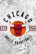 Load image into Gallery viewer, Chicago Bulls Badge NBA Teams 