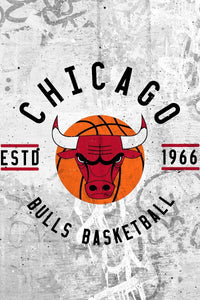 Chicago Bulls Badge NBA Teams 