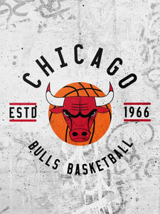 Chicago Bulls Badge NBA Teams 