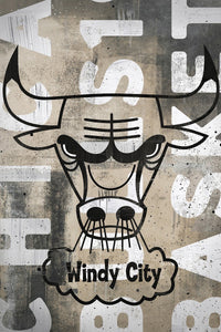 Chicago Bulls Blackout Logo NBA Teams 