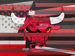 Chicago Bulls Flag NBA Teams 