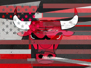 Chicago Bulls Flag NBA Teams 