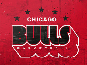 Chicago Bulls Retro Stars NBA Teams 