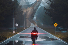 Load image into Gallery viewer, Dino Road Truth by Nature 