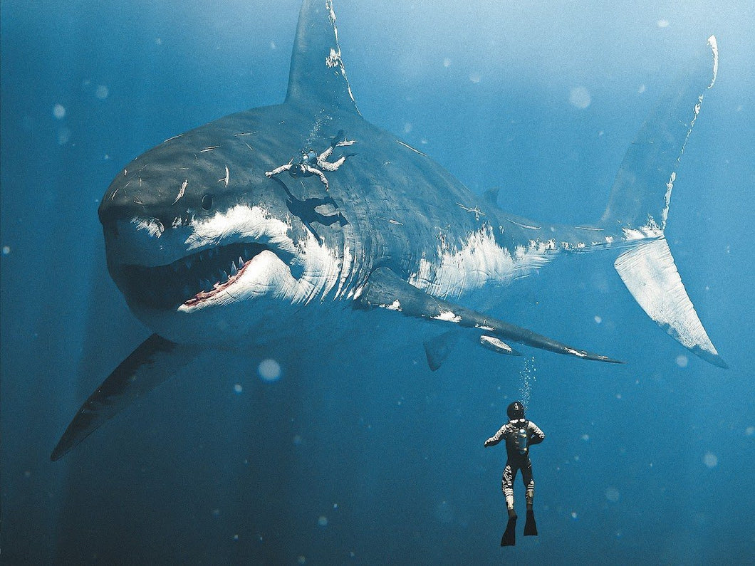 Diving With The Megalodon Truth by Nature 