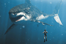 Load image into Gallery viewer, Diving With The Megalodon Truth by Nature 