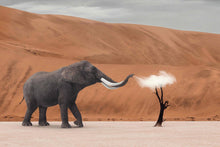 Load image into Gallery viewer, Elephant And Cloud Truth by Nature 