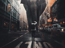 Load image into Gallery viewer, Elephant In Street Truth by Nature 