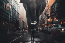 Load image into Gallery viewer, Elephant In Street Truth by Nature 