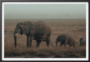 Family Strolls Garrett King 