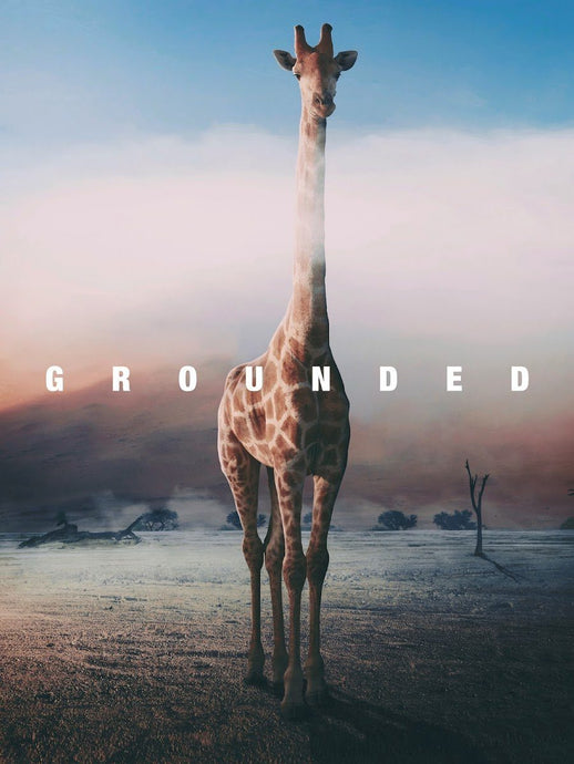 Grounded Giraffe IKONICK Original 